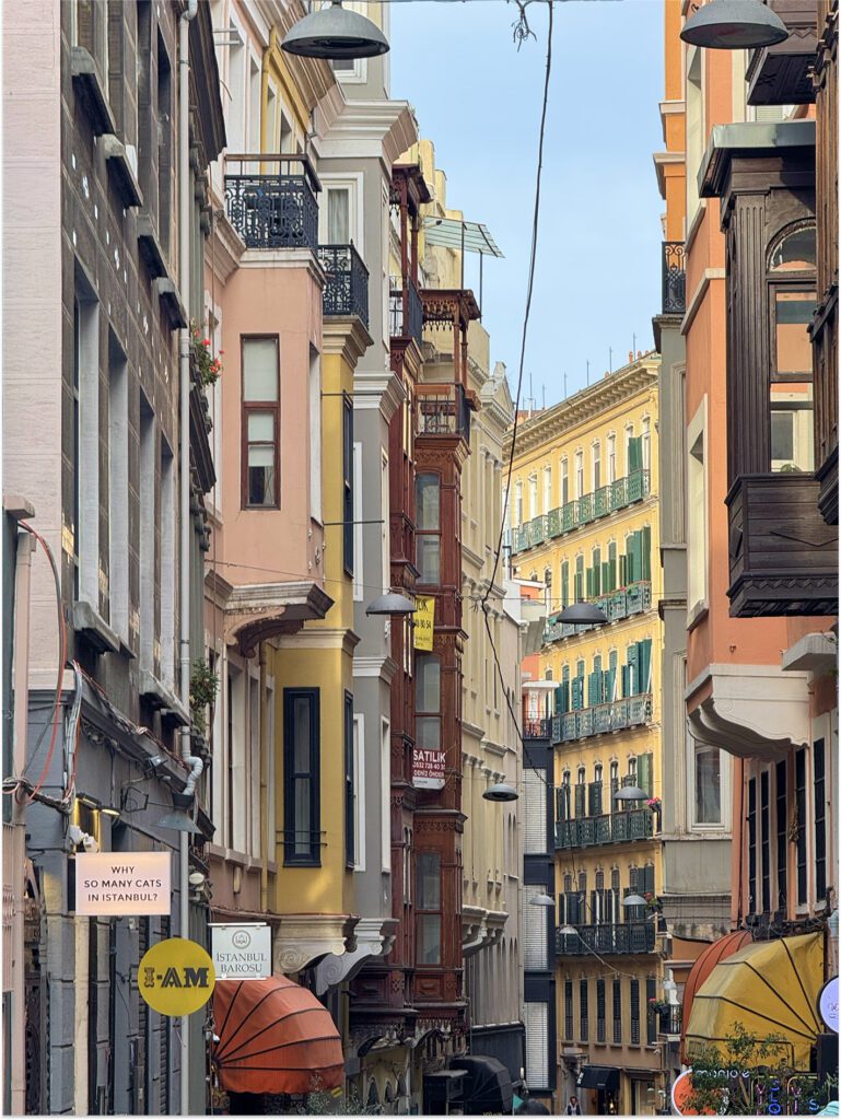 Narrow Istanbul street lined with historic buildings
